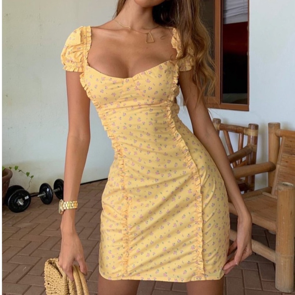 NEW TIGER MIST DRESS- birdy dress